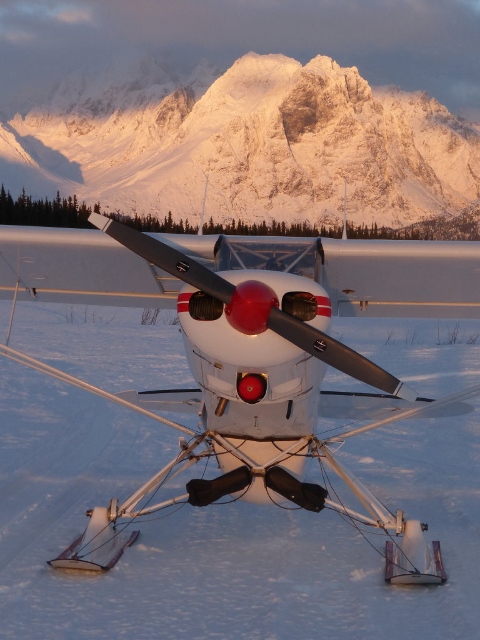 L2500A: L2500A Straight Ski for Piper/Cessna 170